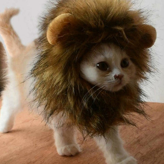 Stop it right now with the cute KITTY LION MANE